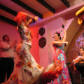Flamenco show-multiturismo