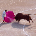 Bullfight-cordoba-multiturismo