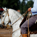Horse show-Córdoba-multiturismo